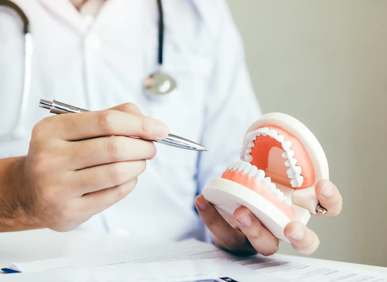 wady-zgryzowe-004 Dentysta w białym fartuchu pokazuje na modelu szczęki strukturę zgryzu, trzymając długopis.
